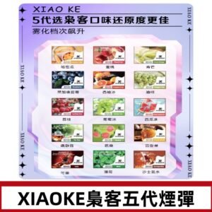 梟客五代煙彈|XIAOKE可替換式電子煙|通用Relx6代|ILIA五代主機