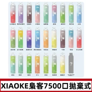 梟客XIAOKE|7500口可發光拋棄式電子煙 跑馬燈一次性
